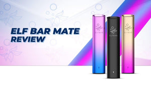 Elf Bar Mate 500 Review