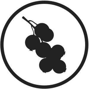 Blackcurrant E-Liquid