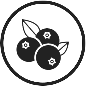 Blueberry E-Liquid