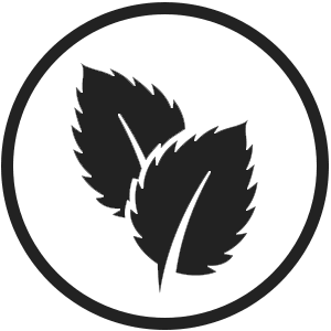 Mint E-Liquid