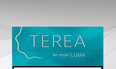 IQOS Terea Sticks